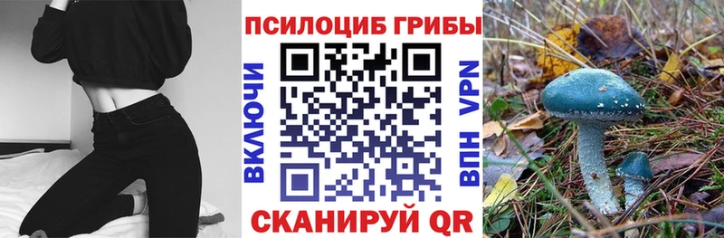 Псилоцибиновые грибы GOLDEN TEACHER  купить  сайты  kraken как войти  площадка формула  Кашира 