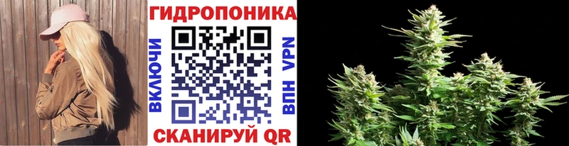 Марихуана AK-47  Кашира 